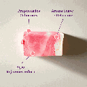 DESIGN FINAL DOS COSMÉTICOS ALME -2.png